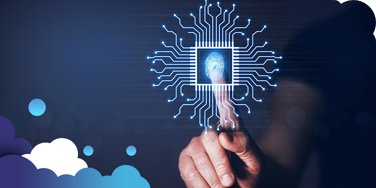 Nube Ninja | Escáner de vulnerabilidad: tipos